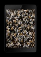 Bees 3D capture d'écran 2