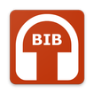 Music Player BIB - mp3 плеер BIB