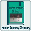 Human Anatomy Dictionary Offline APK