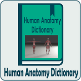 Human Anatomy Dictionary icône