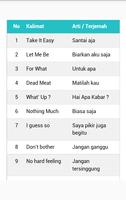 Belajar Bahasa Inggris Offline Cepat screenshot 3