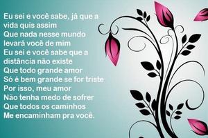 ❤️️ Belos poemas para namorada اسکرین شاٹ 1