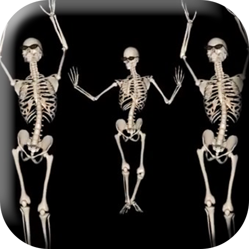 Belly Dancing Live Skeleton