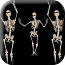 Belly Dancing Live Skeleton APK