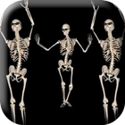 Belly Dancing Live Skeleton icône