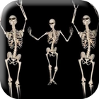 Belly Dancing Live Skeleton icon