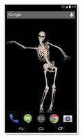 Belly Dancing Live Skeleton Affiche