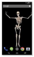 Belly Dancing Live Skeleton capture d'écran 2