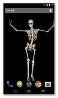 Belly Dancing Live Skeleton screenshot 2