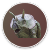 Dinosaur Facts APK