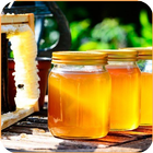benefícios do mel ícone