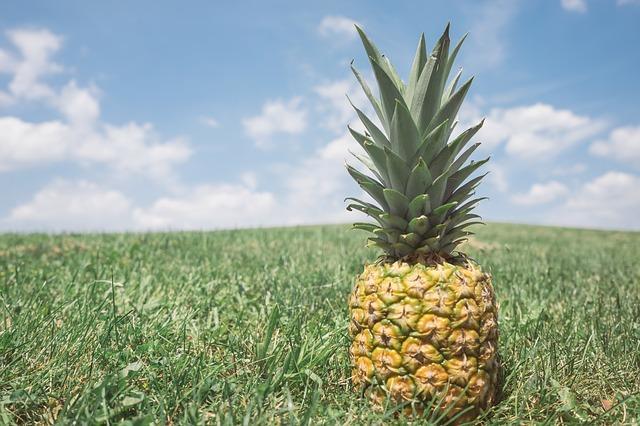 Anana For Health For Android Apk Download
