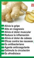 Benefícios e usos do gengibre imagem de tela 2