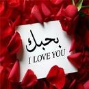 كلمات حب رومانسية 2017 APK