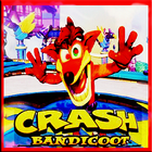 New Crash Bandicoot Hint icône