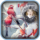 Birds Photo Frame APK