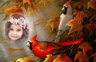 Sweet Bird Photo Frames syot layar 1