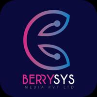 Berrysys Digital screenshot 2