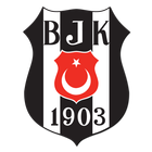 Beşiktaş Marşları иконка