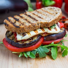 Vegan Grill Recipes ikon