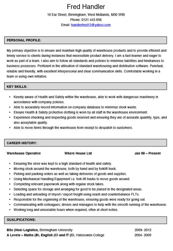 cv examples screenshot 4