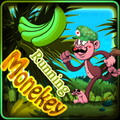 monkey king in sandy world