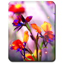 APK Little Summer Flowers HD LWP