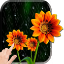 Garden Rain Live Wallpaper-APK