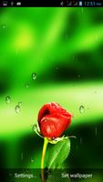 Garden Rain Live Wallpaper 截图 1