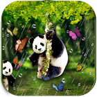 Funny Panda Live Wallpaper icône