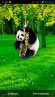 Funny Panda Live Wallpaper capture d'écran 2