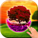 Sunset tree wallpaper-APK