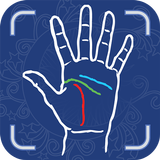 Palmistry Premium