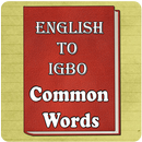 English to Igbo Common Words APK