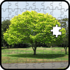 The jigsaw puzzles 아이콘