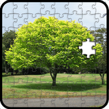 The jigsaw puzzles 아이콘
