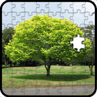 The jigsaw puzzles icon