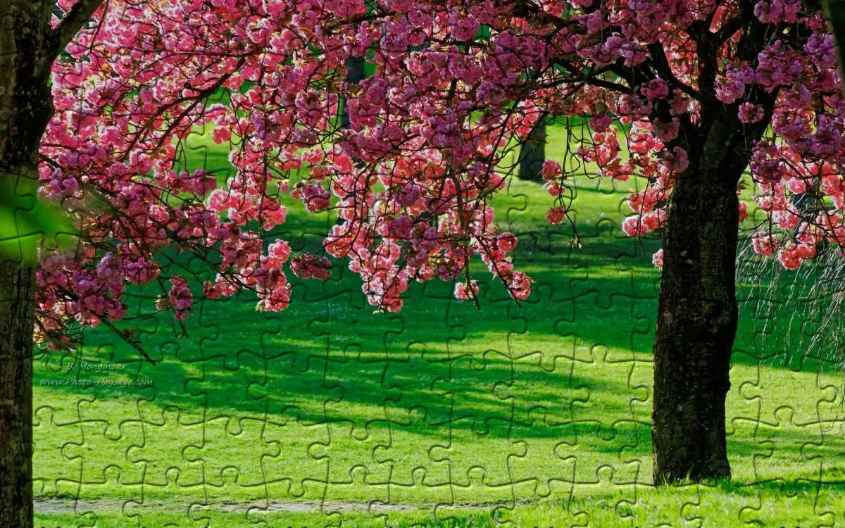 Download do APK de the jigsaw puzzles para Android