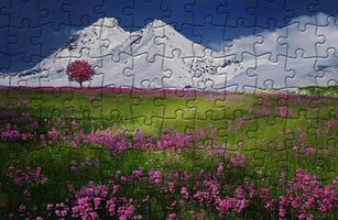 The jigsaw puzzles capture d'écran 3