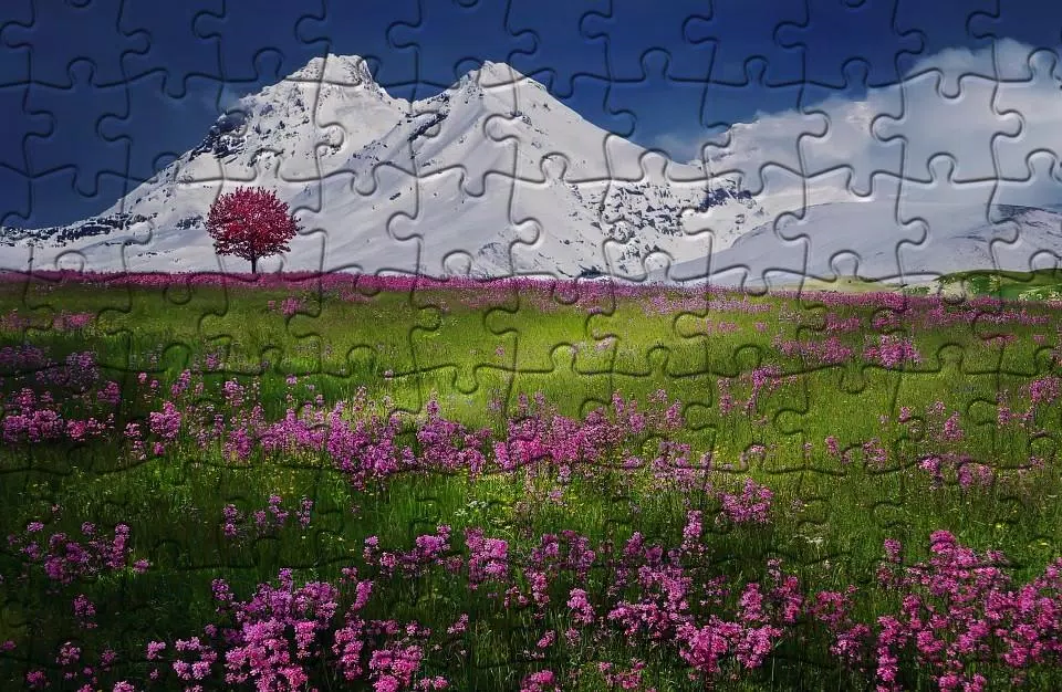 Download do APK de the jigsaw puzzles para Android