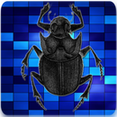 Entomology Insects Identific APK