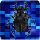 Entomology Insects Identific icon
