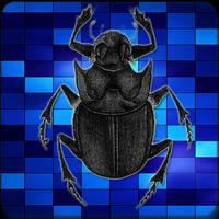 پوستر Entomology Insects Identific