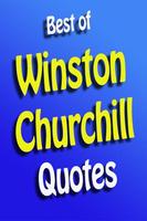 Best Winston Churchill Quotes الملصق