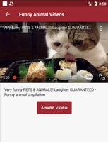 Animal Funny Videos 2021 (dogs, cats, ...) ภาพหน้าจอ 2