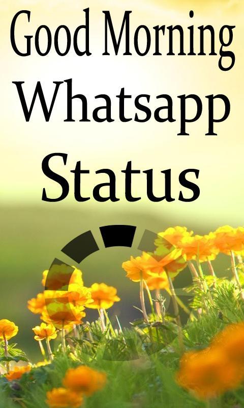 Featured image of post Good Morning Whatsapp Status Video Song Download / Best hindi status video download.