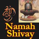 Om Namah Shivaya Mantra Videos Songs APK