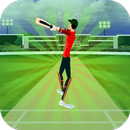 Cricket Mini Simulator APK