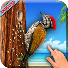 Icona 3D Woodpecker Live Wallpaper