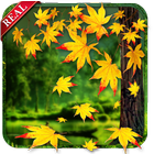 Real Autumn Live Wallpaper أيقونة